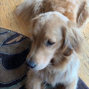 Meet your Posher, Mark